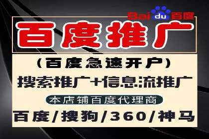 百度竞价代理的投放技巧与效果评估案例